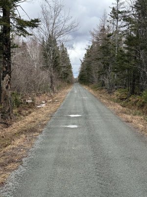 IMG_3107.jpeg IMG_3107.jpeg