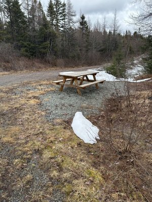 IMG_3108.jpeg IMG_3108.jpeg