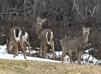 IMG_3112.jpeg IMG_3112.jpeg