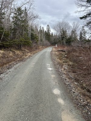 IMG_3106.jpeg IMG_3106.jpeg