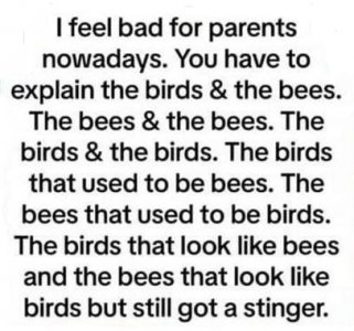 birds and bee's.jpg