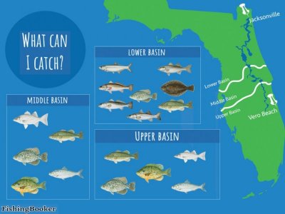 What-can-I-catch-Fishing Booker dot Com.jpg