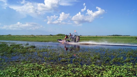 St Johns River beginning Vero Beach marshes.jpg