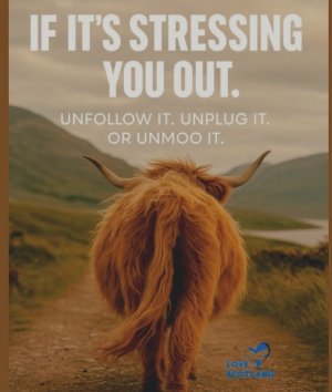 Screen Shot 2025-07-27 at 3.18.38 PM Large.jpeg