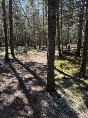 IMG_3125.jpeg IMG_3125.jpeg