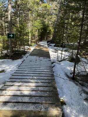 IMG_3126.jpeg IMG_3126.jpeg