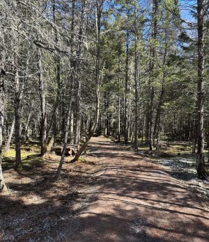 IMG_3123.jpeg IMG_3123.jpeg