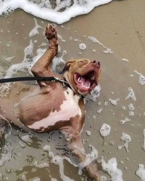 1000016941.jpg 1000016941.jpg