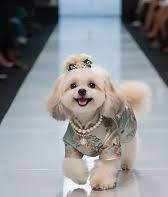 IMG_3138.jpeg IMG_3138.jpeg