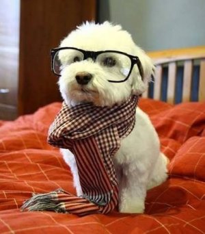 IMG_3139.jpeg IMG_3139.jpeg