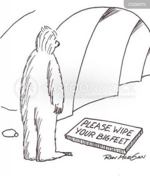 1775642515930.jpeg 1775642515930.jpeg