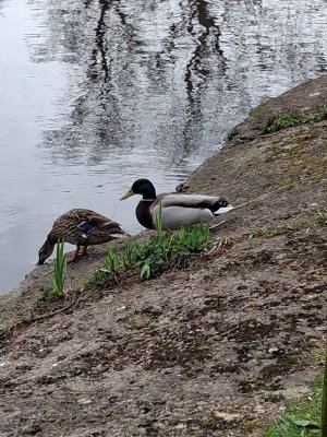 Today4.jpg Today4.jpg