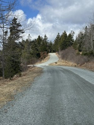 IMG_3149.jpeg IMG_3149.jpeg