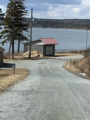 IMG_3150.jpeg IMG_3150.jpeg