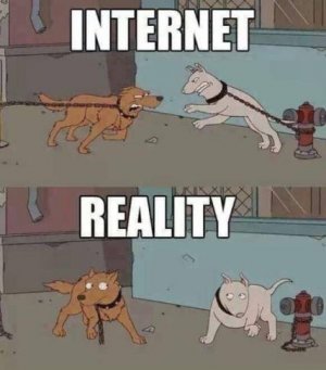 bijgsrefjj6c1.jpeg bijgsrefjj6c1.jpeg