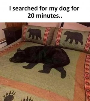 1000016977.jpg 1000016977.jpg