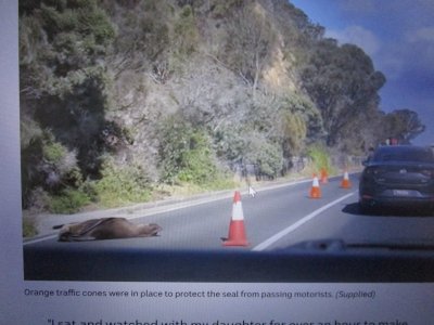 IMG_7662.JPG IMG_7662.JPG