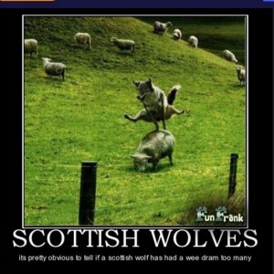 Screen Shot 2026-04-10 at 9.28.14 AM.jpg