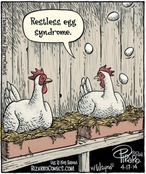 bz-panel-04-17-14-RESTLESS-EGG.jpg