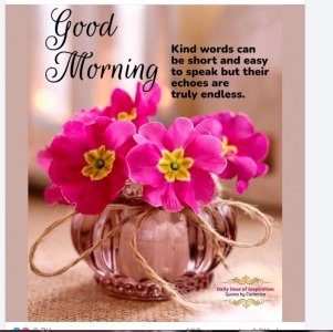 Screen Shot 2025-05-01 at 8.36.28 PM Large 2.jpeg