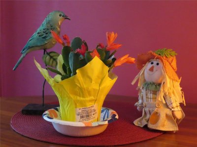 IMG_1725.JPG IMG_1725.JPG