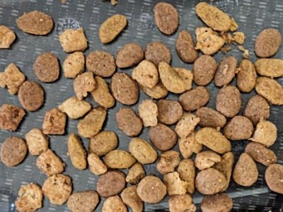 The food Patches loves.jpg