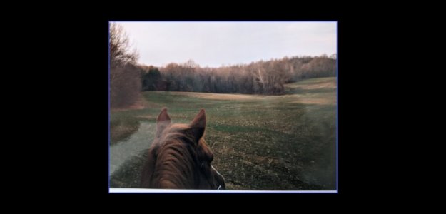 Foxy Ears.jpg Foxy Ears.jpg