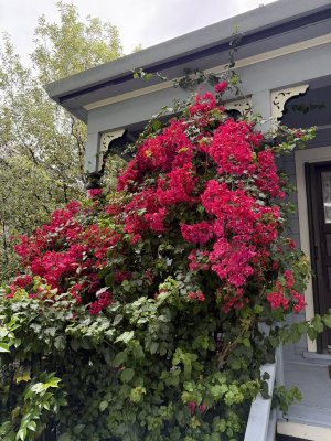 IMG_9671 reduced.jpg