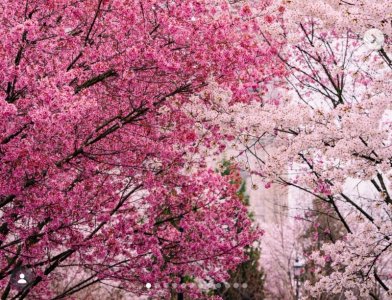 Screenshot 2026-04-13 021353.jpg