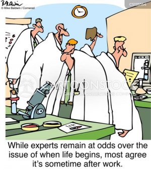 Life 2.jpg Life 2.jpg