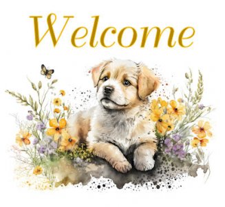 Welcome 14.jpg Welcome 14.jpg