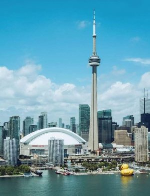 Toronto waterfront.jpg