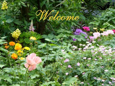 Welcome 12 400.jpg