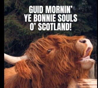 Screen Shot 2026-04-14 at 10.50.10 AM.jpg