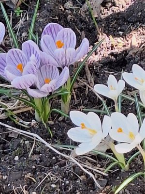 20260414_115539.jpg 20260414_115539.jpg