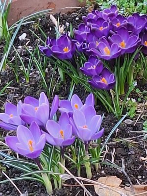 20260414_115546.jpg 20260414_115546.jpg