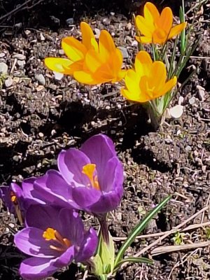 20260414_115534.jpg 20260414_115534.jpg