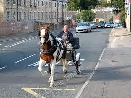 Pony and Trap.jpg Pony and Trap.jpg