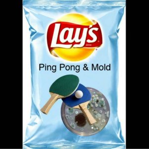 any lays ping pong mold.jpg
