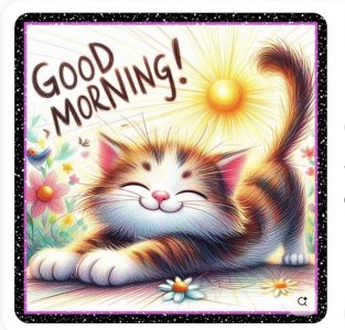 Screen Shot 2025-11-24 at 8.26.06 AM.jpg