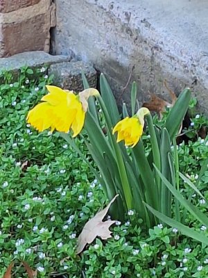 20260414_115559.jpg 20260414_115559.jpg