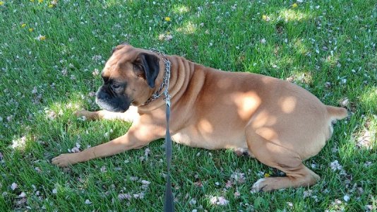 WhatsApp Image 2026-04-15 at 10.28.53.jpeg