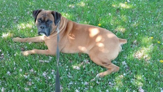 WhatsApp Image 2026-04-15 at 10.28.11.jpeg