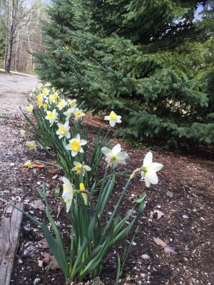 image6.jpeg image6.jpeg