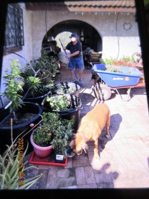 2026-04-15 garden work.jpg 2026-04-15 garden work.jpg