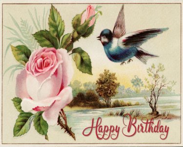 Birthday 201 jpg.jpg