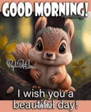 images-3 6.52.55 PM.jpg