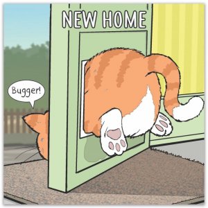 fat-cat-funny-new-home-card-(2)-14388-p.jpg