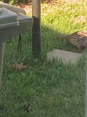 WhatsApp Image 2026-04-18 at 15.23.49.jpeg