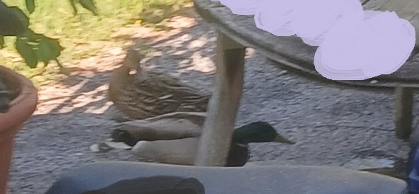 WhatsApp Image 2026-04-18 at 15.23.49 (2).jpeg